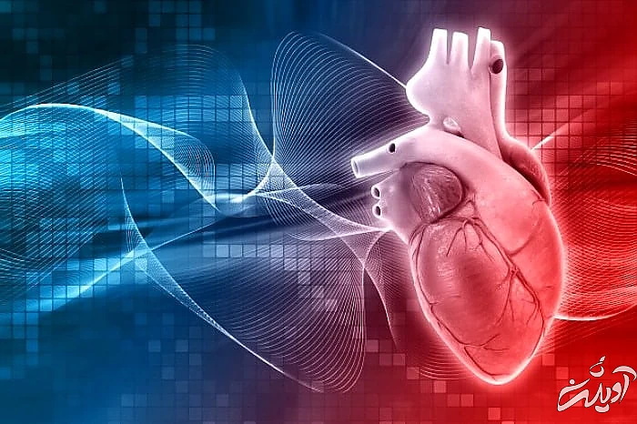 تعداد ضربان قلب نرمال